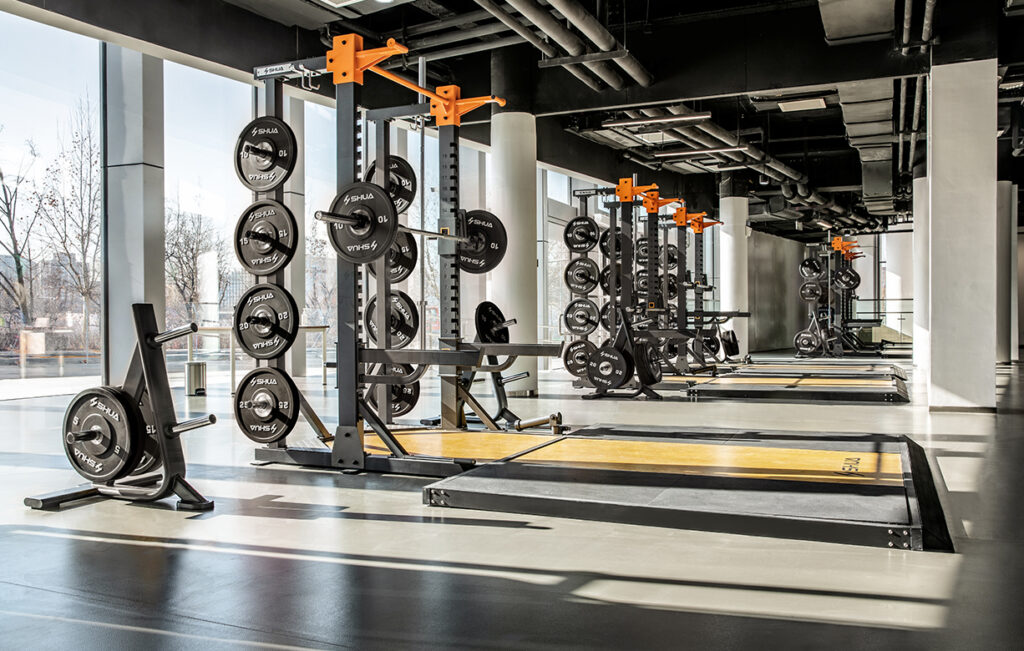 mayoreo aparatos para gimnasio