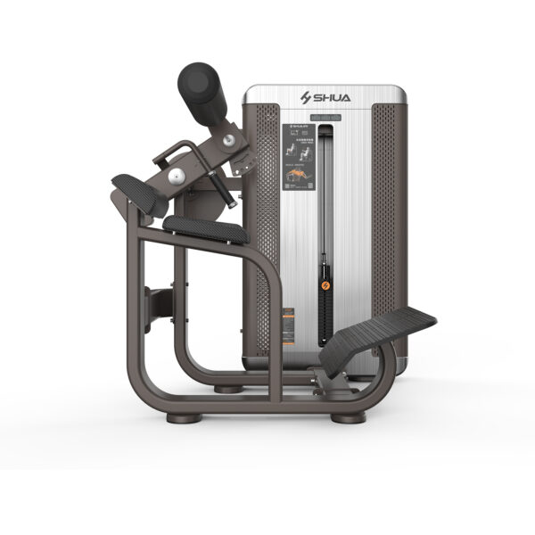 Back Extension Lux Series, Shua Fitness SH-G8812