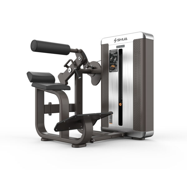 Back Extension Lux Series, Shua Fitness SH-G8812