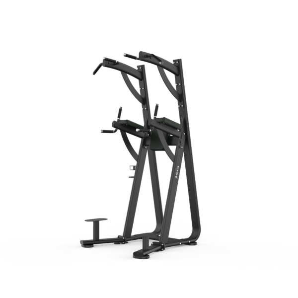 Chin Dip Bench - Pro Series