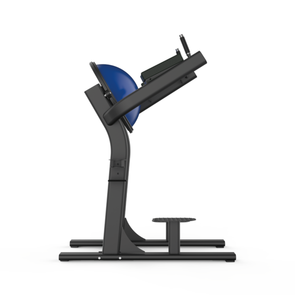 Leg Raise Bench - Pro Series - Image 2