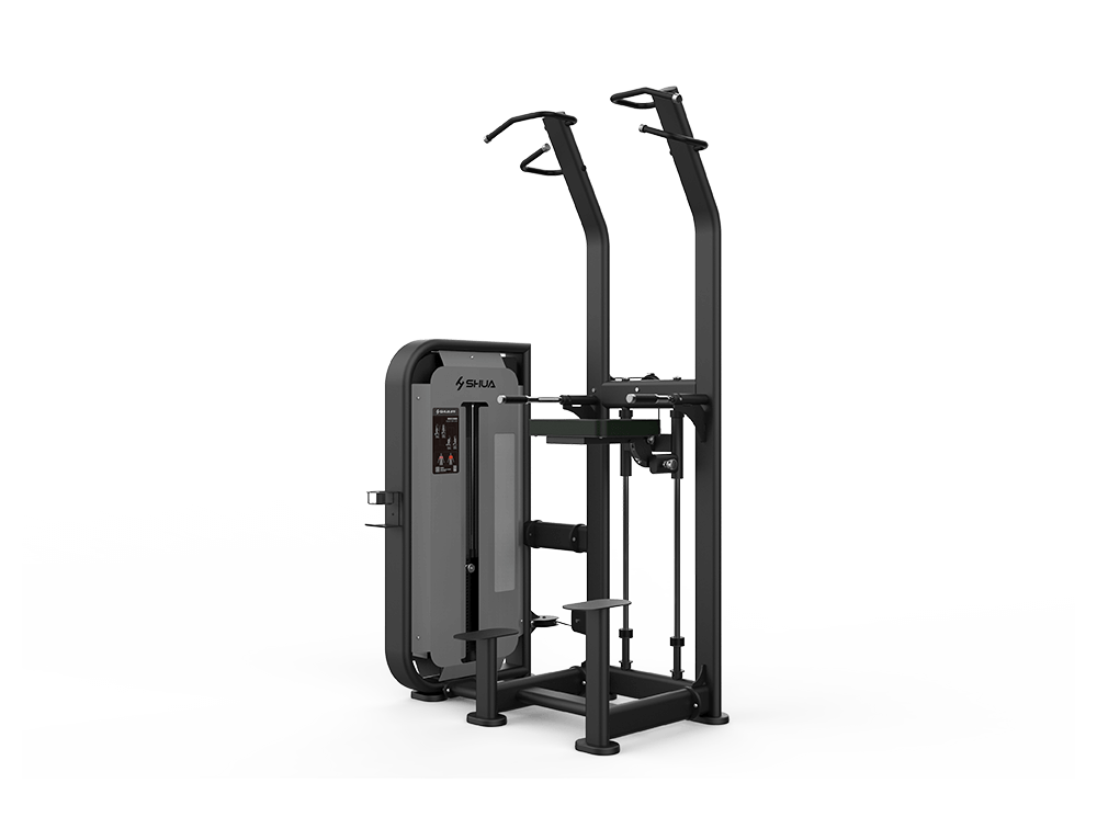 Peso Integrado SH-G6851A de Modern Fitness para Desarrollo Vertical